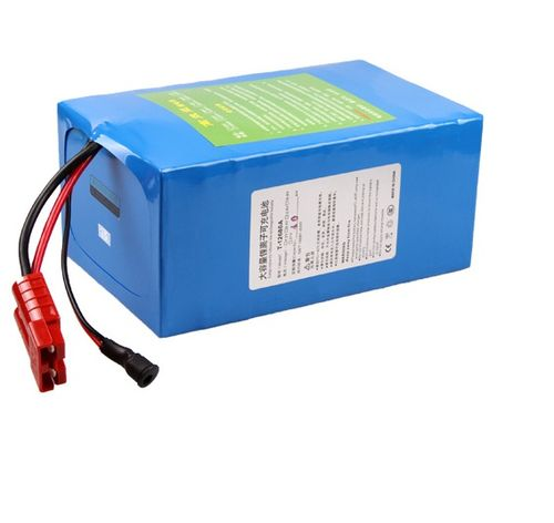 48V Standard Battery