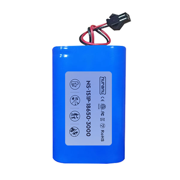 Batteria a Bassa Tensione