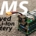 what is bms in lithium batteries