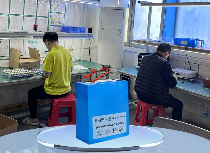 Progettazione Personalizzata della Batteria