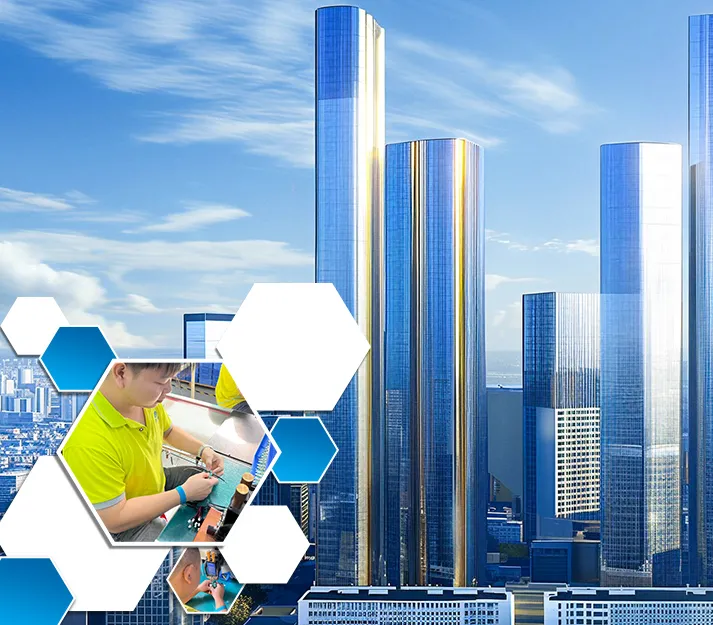 Excellence éprouvée dans la fabrication de batteries 24V25,6V